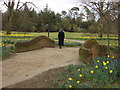 Small Footbridge in Nowton Park (2)