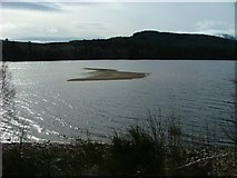 NN5389 : Sandbank on Loch Laggan by Dave Fergusson