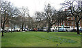 Euston Gardens, London WC1