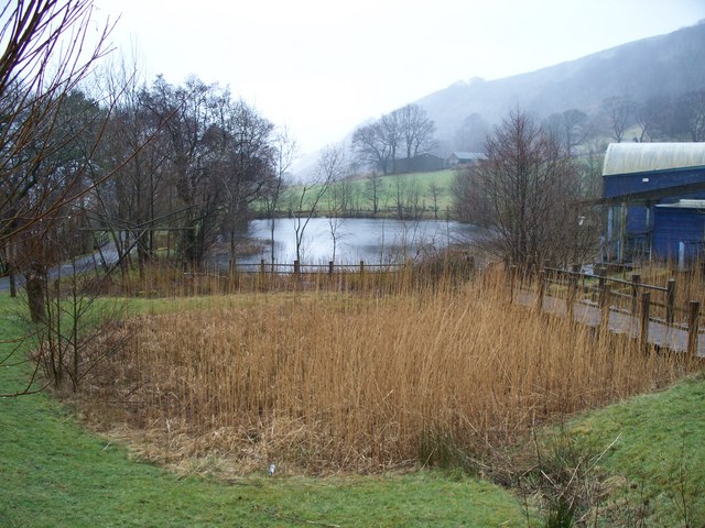 The Wetlands, Ebbw Vale