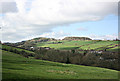 ST7155 : 2008 : Shoscombe Vale by Maurice Pullin