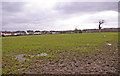 Farmland, Enfield Road, Enfield, looking east