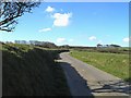 Lane near West Holme Farm