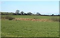 Houses on the B3262