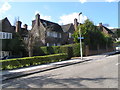 Dunoon Road detached houses