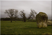 NY5737 : Long Meg and Her Daughters by Craig Allan
