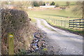 Bridleway up to Fron