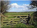 Field and gate near Tregray Farm