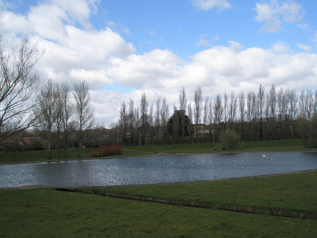Peaceful pond at Purbrook