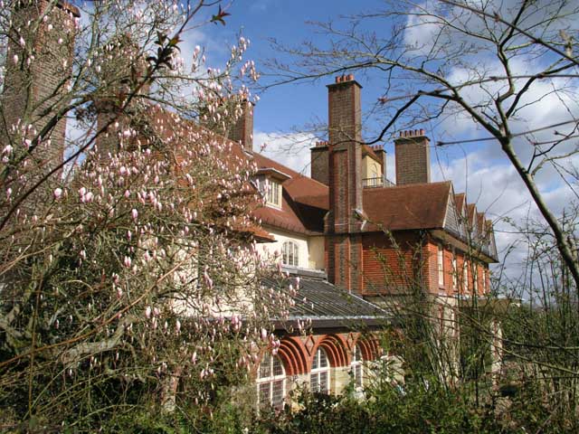 Standen in the spring