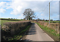 SO6531 : Country road to Much Marcle from Kempley by Pauline E