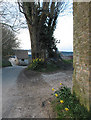 Farm entrance, Rushall