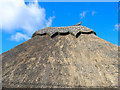 Thatched Roof, Amberley Court