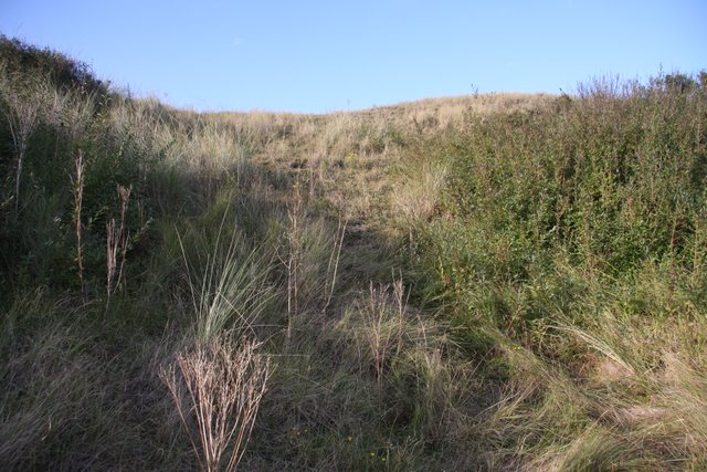 Back edge of dunes