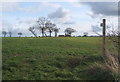 Suffolk fields north of Battisford, looking south