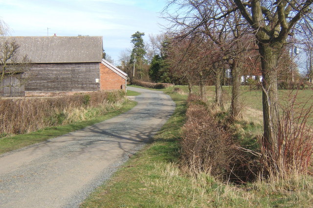 Lane approaching Monks Eleigh Tye from the west