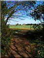 Footpath to Ford