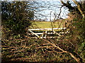 Blocked Field Gate