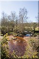 Stream that drains West Wellow Common