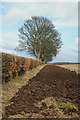 Hedge and Farmland