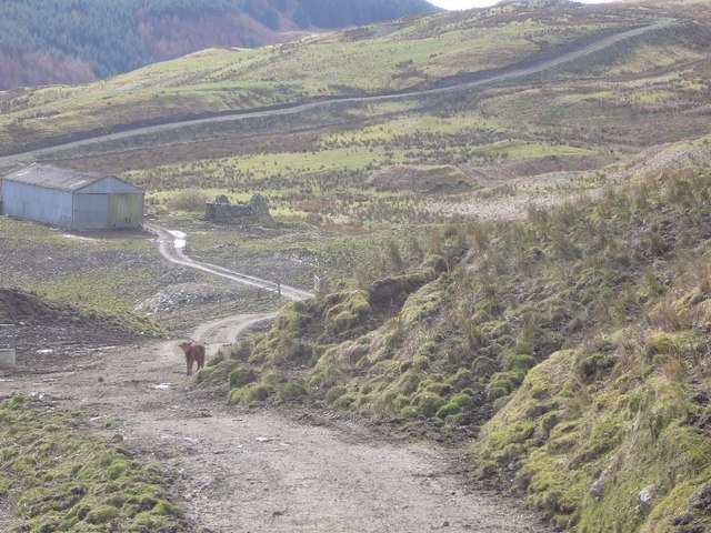Track, West side of Dubh Loch
