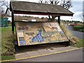 Impressive Information Board, Dungannon Park