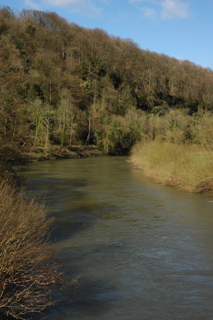 The River Wye at the Biblins