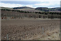 Farmland near Newton