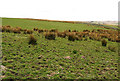 Farmland north of Bloch Farm