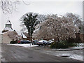 Cherry Trees in Easter snow