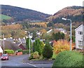 Autumn in Inverkip