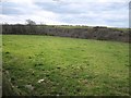 Field near Trefrew