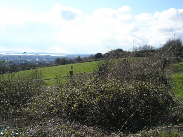 Common land on Portsdown Road as seen from Farlington Avenue