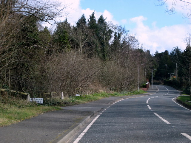 Ballyrobert Road near Crawfordsburn