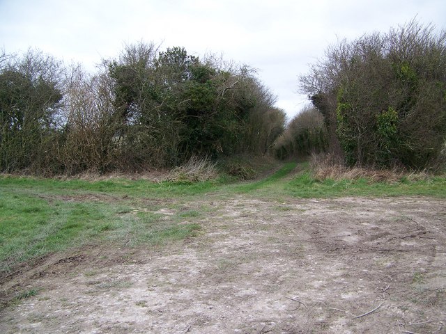 Junction of byways, Hawking Down