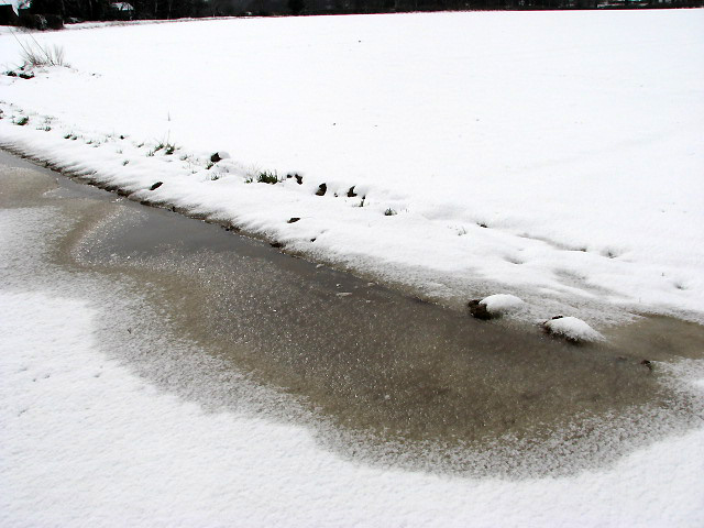 Snowy puddle