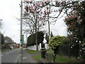 Hardy cyclists in Southleigh Road