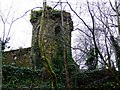 W4172 : Unidentified Old Structure nr. Carrigadrohid Castle by Richard Fensome