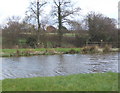 Pond near the corner of Fossetts Lane