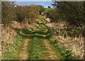 Lane near Doonhill Cottages