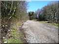 Access to woods above Llanbradach