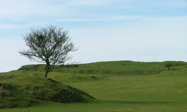 Looking up to Gallow Hill