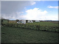 Caravans at Wold Farm - Easter Monday 2008