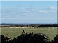 Distant view of Power Stations from Bolsterstone