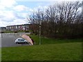 Woodland by canal in Clydebank