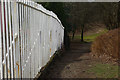 Path to Barloch Moor