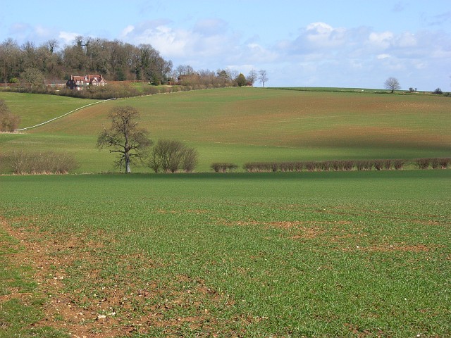 Farmland, Great Bedwyn
