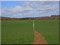 Footpath, Great Bedwyn