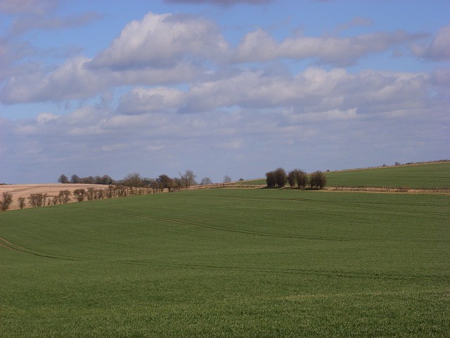 Farmland, Wilton