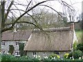 Cottages, Sutton Mandeville